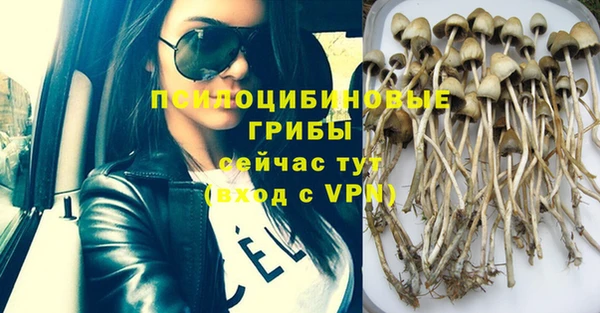 дживик Навашино