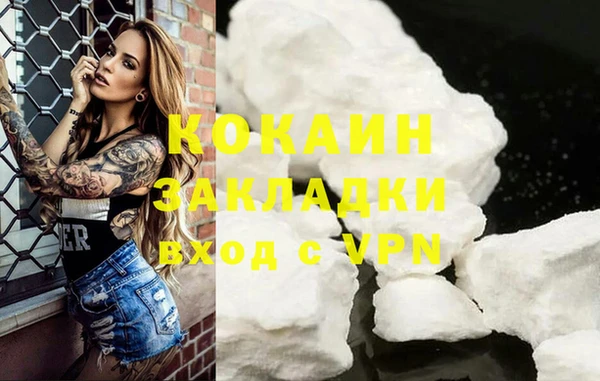 дживик Навашино