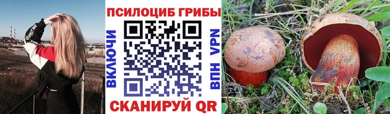 гидра зеркало  Пласт  Псилоцибиновые грибы Psilocybe 